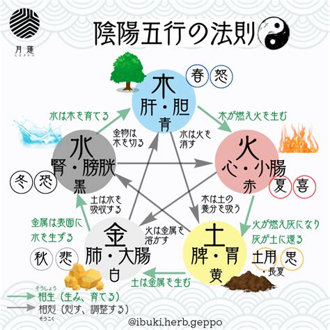 風水 陰陽|風水の基本となる陰陽五行説とは？日本の慣習に影響。